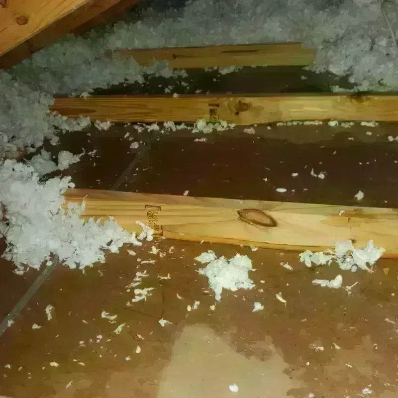 Attic Water Damage in Lost Hills, CA