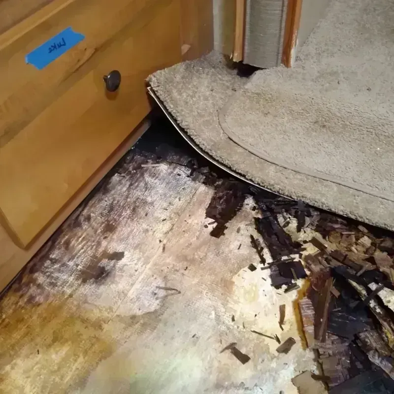 Wood Floor Water Damage in Lost Hills, CA